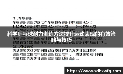 科学乒乓球耐力训练方法提升运动表现的有效策略与技巧