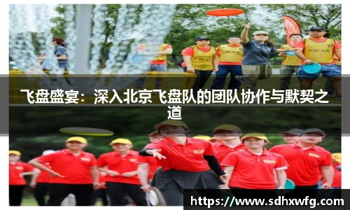 飞盘盛宴：深入北京飞盘队的团队协作与默契之道