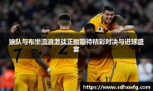 狼队与布里流浪激战正酣期待精彩对决与进球盛宴